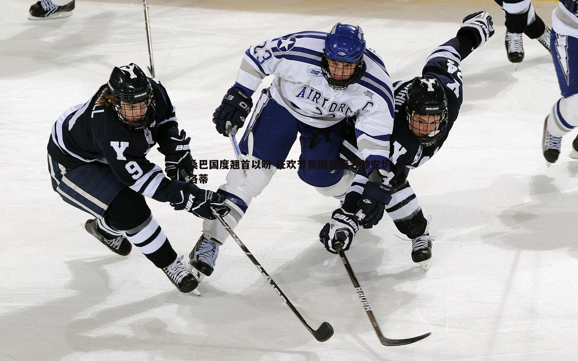 桑巴国度翘首以盼 狂欢节氛围迎接名帅安切洛蒂